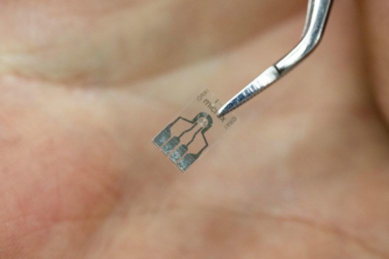 Printed Microfluidic Chip