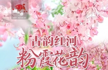 石屏神黄豆花+石屏古城+建水二日游  369元/人  电话15987185227