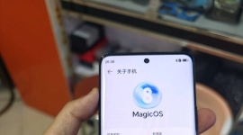 荣耀x50Pro