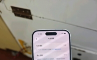 苹果15
