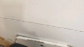 vivoxfold3