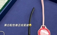 爱彼X swatch 各个版本