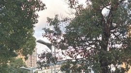 测试测试