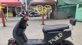 85成新台铃锂电池新国标，熊友秒价1499