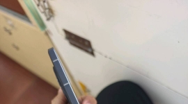 vivox100s