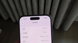 14pro 紫色
