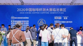 2026中国咖啡杯测大赛·临沧赛区圆满收官