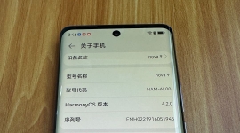 出个备用机Nova9