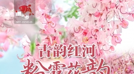 石屏神黄豆花+石屏古城+建水二日游  369元/人  电话15987185227