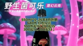 野生菌可乐、魔幻云南；10多块到手、过年有渠道有可研究