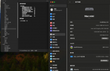 苹果macmini 主机 1600不讲价