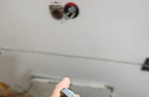 红米k70Pro