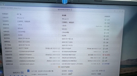 出个极品12