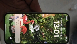 iPhone12  256 原装成色完美！1199