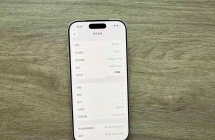苹果iPhone17Pro国行 白色256GB  充电178次 95新