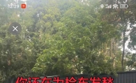 20年专业审车保险赵师13354903959