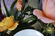 野生红茶，入口甜，好喝，150一公斤批发价，需要联系，