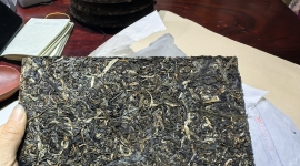 2023年布朗山大树春茶80一公斤（特惠）