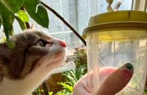 买到就赚天然彩幽灵聚宝盆只要99