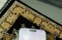 iPhone 17 Pro Max国行256G银色99新前置小彩点原装气密7399一将出品