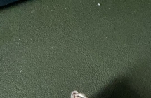 出一个泰国四面佛佛牌 银壳 带珐琅彩，