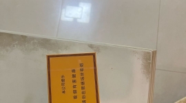 出大重九一条