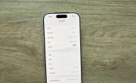 苹果iPhone17Pro国行 白色256GB  充电178次 95新