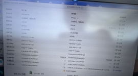 出个极品ip16/256白