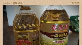 出两桶菜籽油