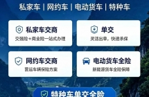 昆明检车