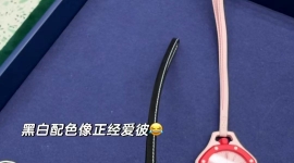 爱彼X swatch 各个版本