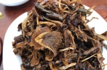 油鸡枞又上新了