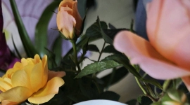 野生红茶，入口甜，好喝，150一公斤批发价，需要联系，