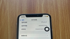 捡漏ip X/256黑出299