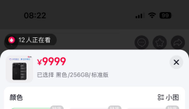 +100出黑色18pro256