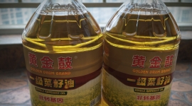 出两桶单位发的一级菜籽油