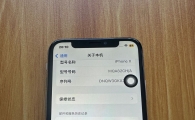 捡漏ip X/256黑出299