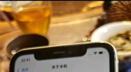 iPhone11，256G