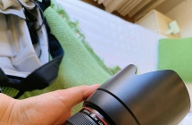 出几只佳能白炮，发烧友进来挑