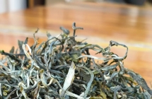 头春景迈 鲜韵天成  年度必藏