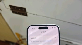 苹果15