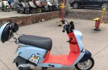 9成新爱玛锂电池新国标，熊友秒价1499