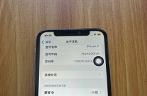 捡漏ip X/256黑出299