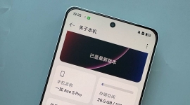 2250出个一加Ace5pro 陶瓷特别版，99新