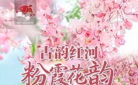 石屏神黄豆花+石屏古城+建水二日游  369元/人  电话15987185227