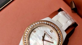 蔻驰 陶瓷系列新款女表