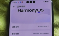 华为mate60pro+