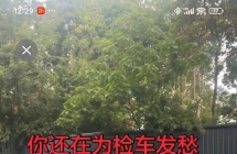 20年专业审车保险赵师13354903959