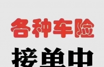 昆明检车
