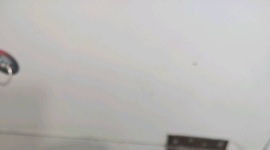 小米14